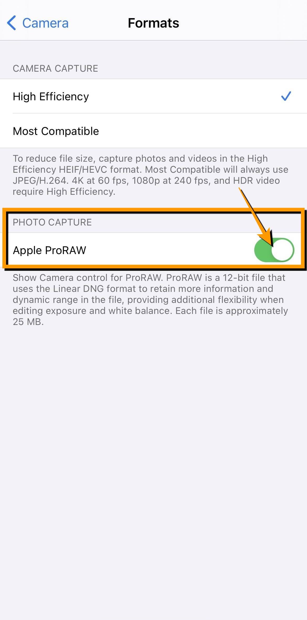애플 아이폰 12 Pro Promax ProRAW 촬영 방법 및 잠금해제