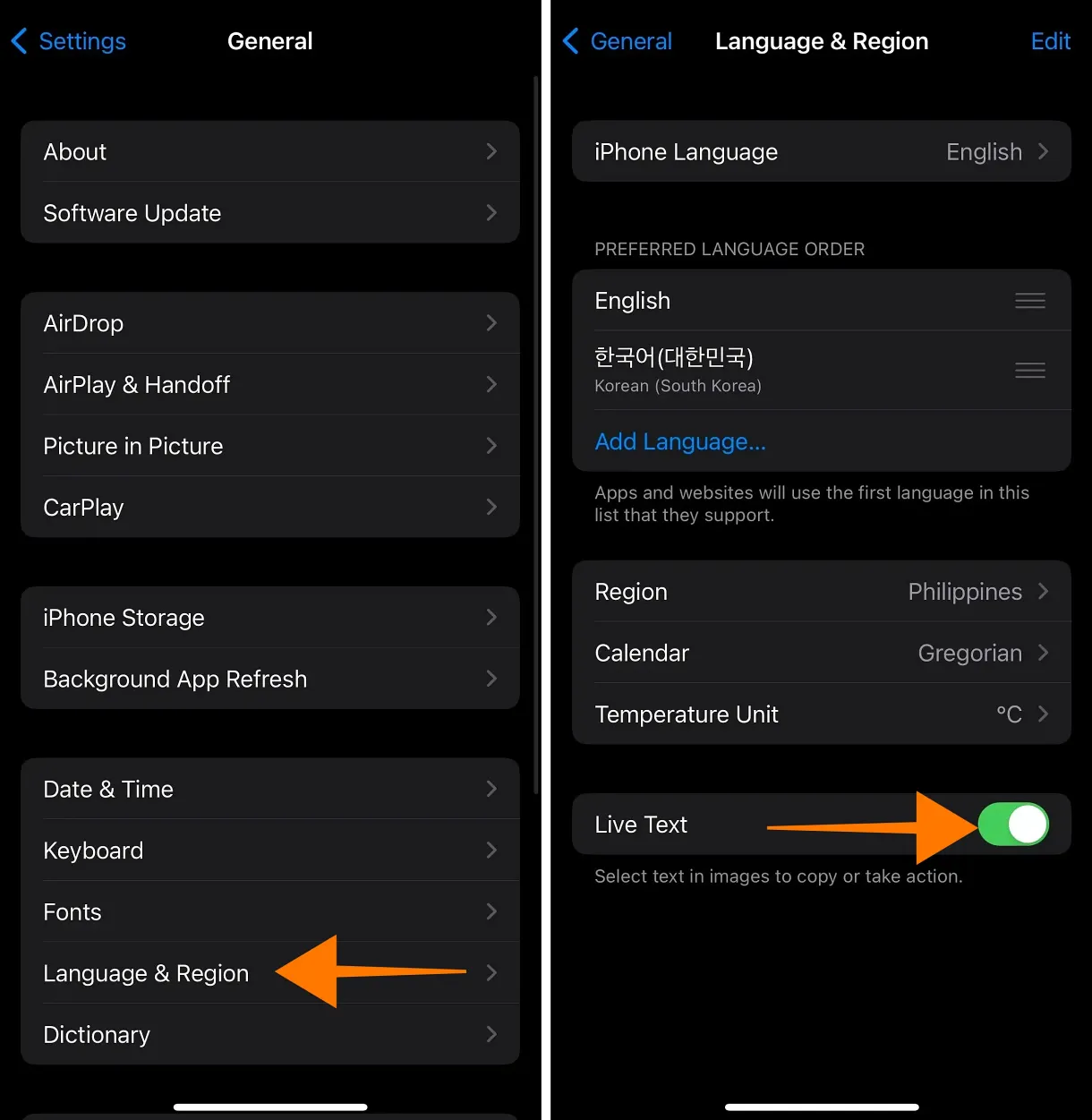 On iPhone LiveText Settings