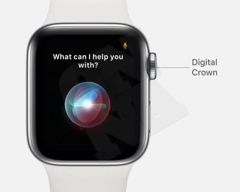 Apple Watch Siri Call