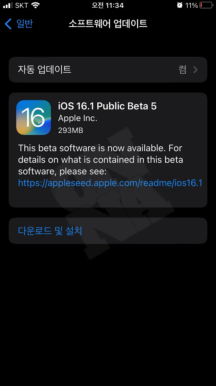 ios16.1 beta5