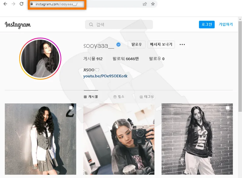 BLACKPINK Jisoo Instagram Page Web Access