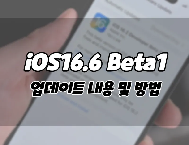 아이폰 iOS 16.6 베타1 업데이트 내용 및 다운로드 방법. (+아이패드)