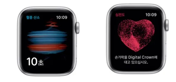 02. Apple Watch 6 Blood oxygen and ECG
