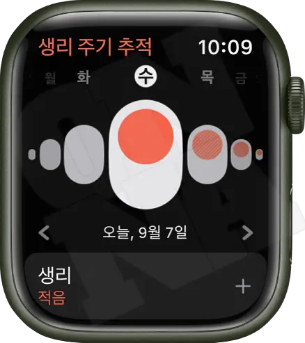 14. Apple Watch Menstrual Cycle Tracking