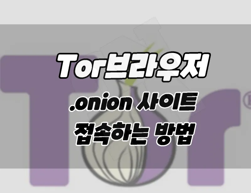 Tor 브라우저 히든서비스. ' .onion '사이트에 접속하는 방법 (딥웹, 다크웹)